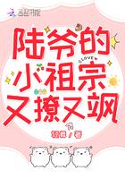 陆爷的小祖宗又撩又飒全本网