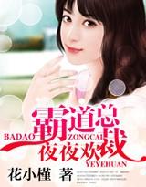霸道总裁夜夜宠妻狂魔全文