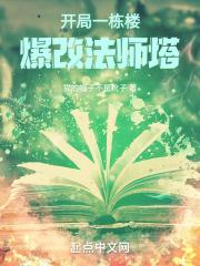爆改法师塔泡泡中文