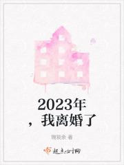 2023年典型离婚案例