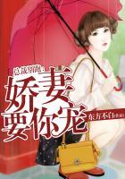 娇妻别逃总裁拒做前夫