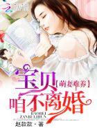 追妻血泪史宝贝咱不离婚萌妻难养