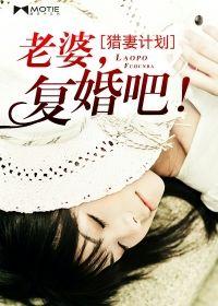 猎妻成瘾全文免费阅读妻