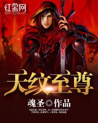 天纹至尊免费阅读