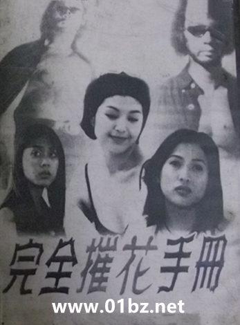 完全摧花手册外传txt