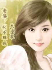 老婆别不理我免费阅读