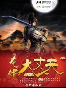 龙婿大丈夫txt