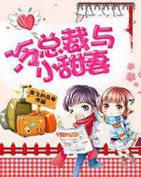 高冷总裁最妻攻略