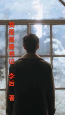 我是县委书记全集