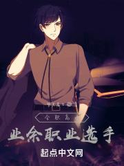 全职高手职业比赛