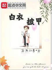 白衣披甲txt全文免费阅读