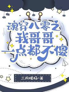 魂穿八零之我哥哥一点都不傻魂穿八零之我哥哥一点都不傻小说全文