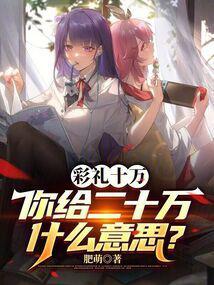 你给二十万什么意思? 在线