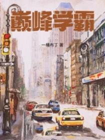 巅峰学霸百度TXT