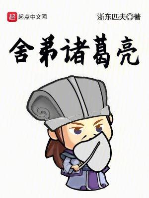 舍弟诸葛亮手打无错