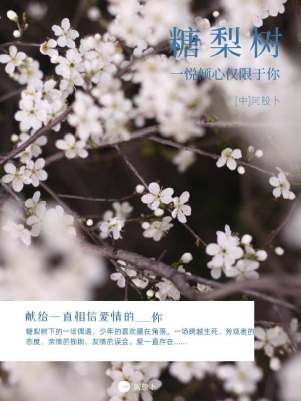 棠梨树根有什么作用