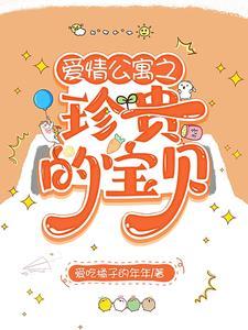 爱情公寓之诺澜和我在一起了txt