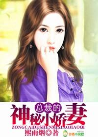 总裁的神秘情人全文阅读