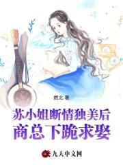 苏小姐是什么电视剧里的