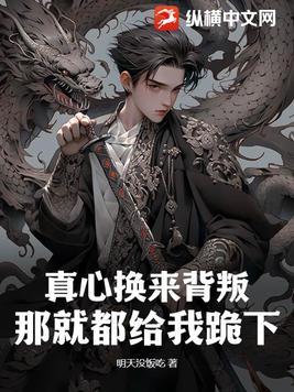 真心换来的什么