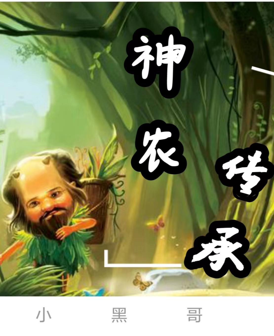 神农传承小农民聂风结局