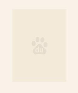 绝世炼丹师漫画全文免费阅读