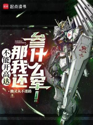 不能开高达那我还参什么军!电子书