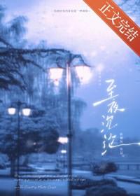 至夜沉沦by全文免费阅读晋江