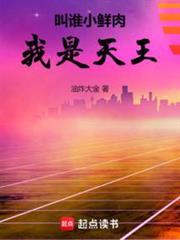 我是天王TXT
