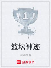 篮坛神迹全文免费阅读软件