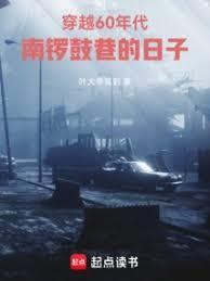 穿越60年代南锣鼓巷的日子破解版