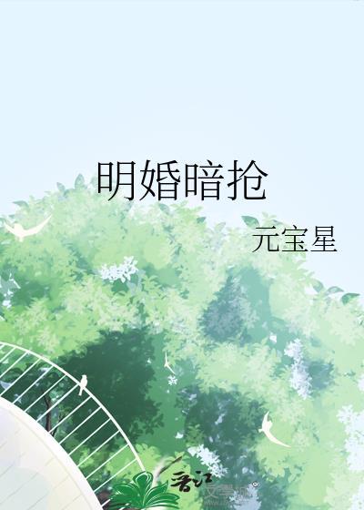 明婚暗抢元宝txt