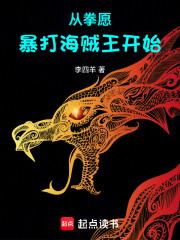 从拳愿暴打海贼王开始原著