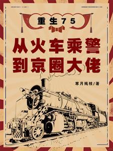 重生75从火车乘警到京圈大佬哔哩哔哩