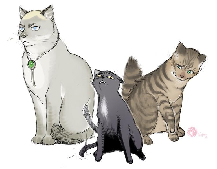 三个人的幸福生活.txt