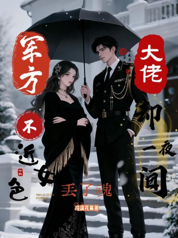 主角是军方大佬的