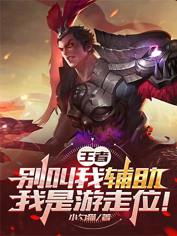 王者荣耀辅助和游走