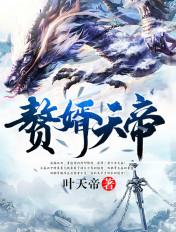 赘婿天帝又名