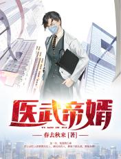 医武帝婿免费阅读全文