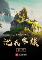 沈氏家族崛起TXT全本