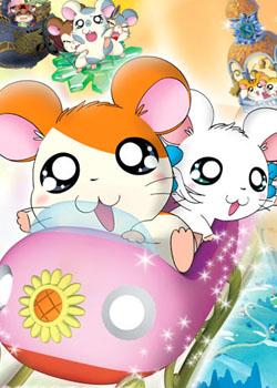 小松鼠奇遇记的作文