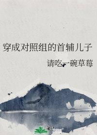 穿成豪门宠文的对照组的对照组