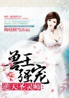 兽王独宠逆天圣灵师