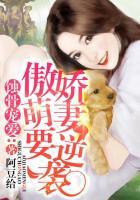 蚀骨宠爱:傲娇萌妻要逆袭